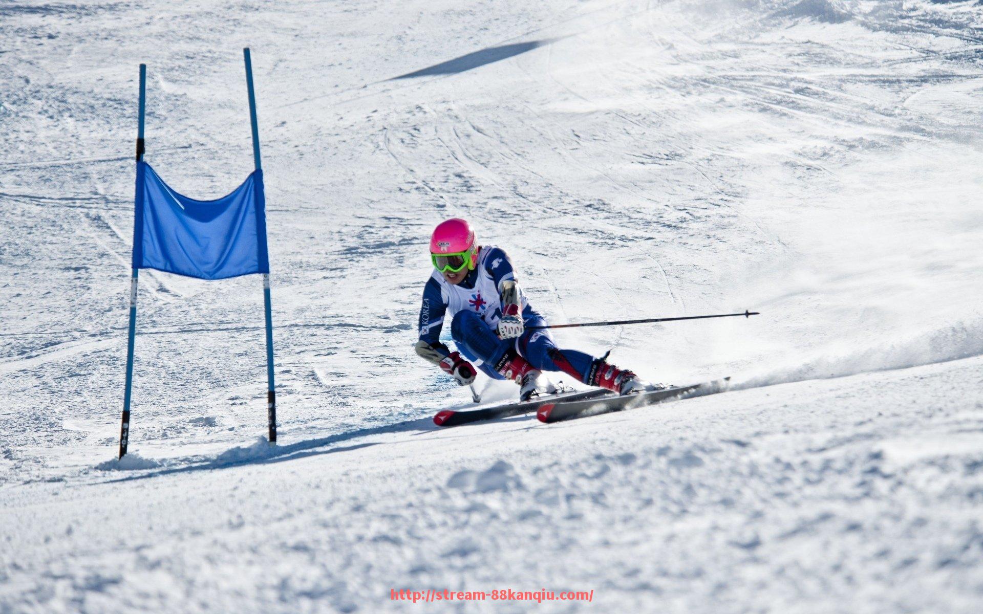 88看球网-火箭队2025赛季最新阵容名单与球员变化趋势